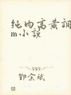 纯肉高黄调教sm小说