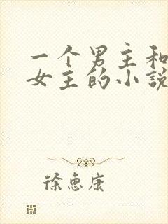 一个男主和多个女主的小说