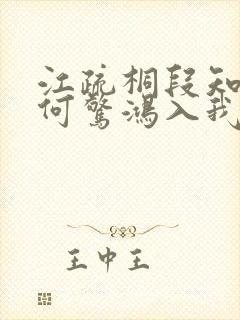 江疏桐段知许奈何惊鸿入我心小说阅读