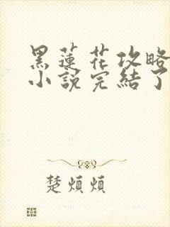 黑莲花攻略手册小说完结了吗封面