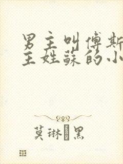 男主叫傅斯年女主姓苏的小说