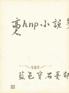 高hnp小说多人