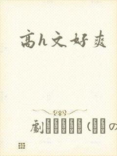 高h文好爽封面