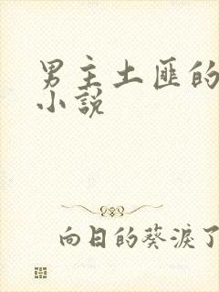 男主土匪的古言小说封面