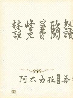 林峰宁欣然的小说免费阅读正版