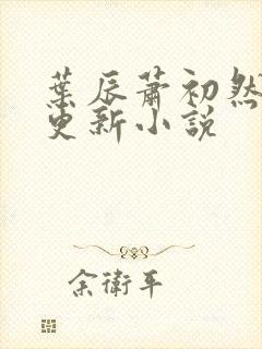 叶辰萧初然最快更新小说