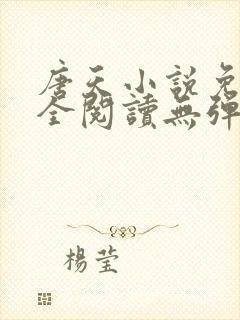 唐天小说免费大全阅读无弹窗