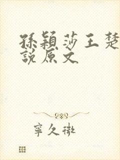 孙颖莎王楚钦小说原文