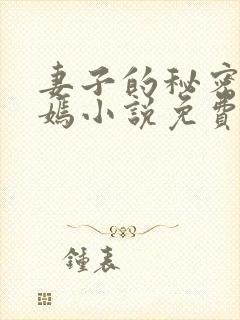 妻子的秘密佟与嫣小说免费阅读