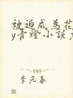 被迫成为花魁by青灯小说免费阅读封面