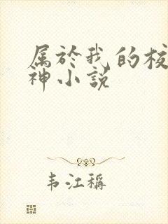 属于我的校园女神小说