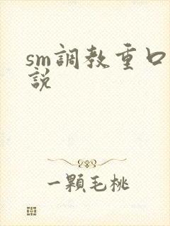 sm调教重口小说