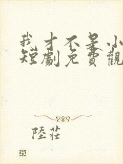 我才不是小可怜短剧免费观看全集