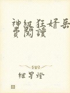 神级狂婿岳风免费阅读封面