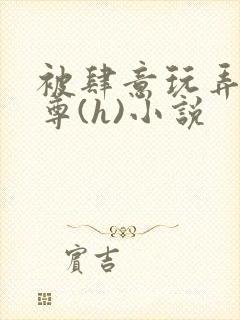 被肆意玩弄的师尊(h)小说封面