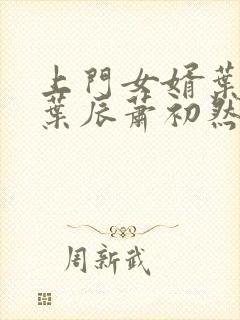 上门女婿叶辰 叶辰萧初然531