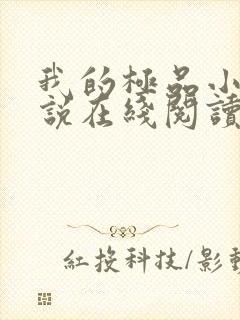 我的极品小姨小说在线阅读全文免费封面