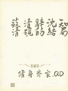 苏清辞沈知夏林清砚的结局是什么