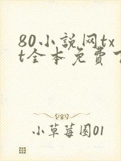 80小说网txt全本免费下载