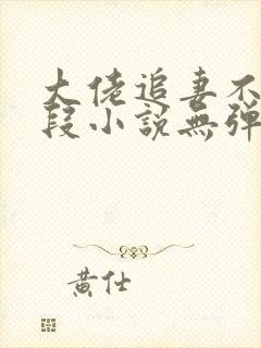 大佬追妻不择手段小说无弹窗最新章节