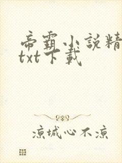 帝霸小说精校版txt下载