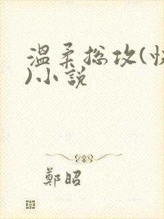 温柔总攻(快穿)小说