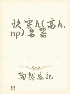 快穿h(高h,np)名器