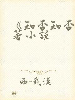 《知否知否》原著小说