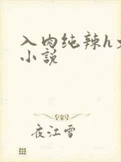 入肉纯辣h文 小说封面