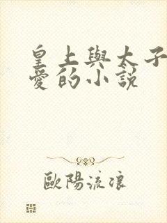 皇上与太子妃欢爱的小说