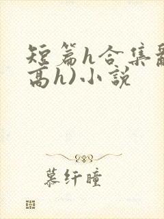 短篇h合集乱(高h)小说