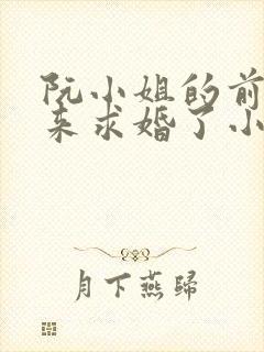 阮小姐的前夫又来求婚了小说下载txt封面