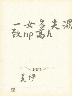 一女多夫湿润紧致np高h封面