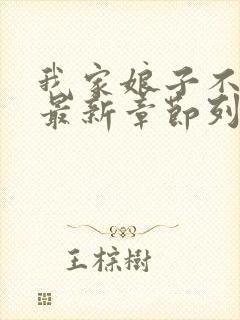 我家娘子不对劲最新章节列表免费封面