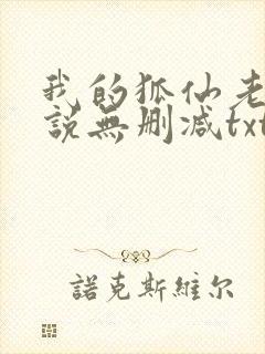 我的狐仙老婆小说无删减txt