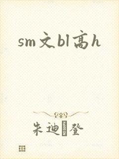 sm文bl高h