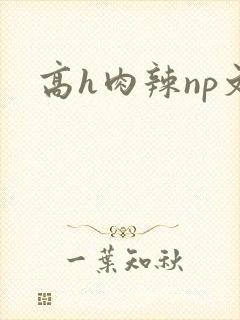 高h肉辣np文