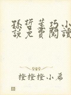 孙哲叶巧小妈小说免费阅读