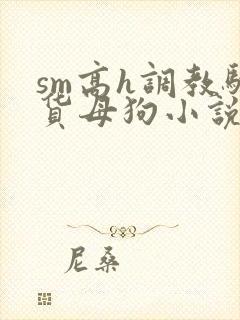 sm高h调教骚货母狗小说