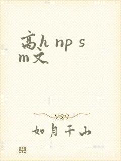 高h np sm文封面