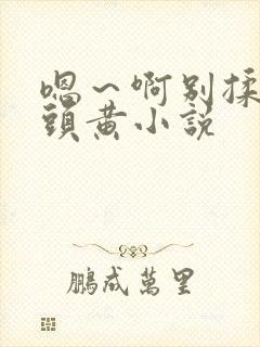 嗯～啊别揉我奶头黄小说