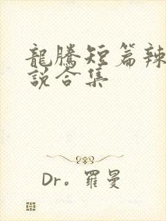 龙腾短篇辣文小说合集