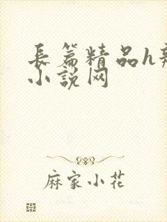 长篇精品h辣文小说网