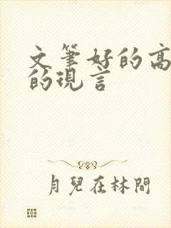 文笔好的高质量的现言