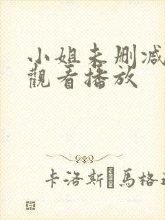 小姐未删减在线观看播放