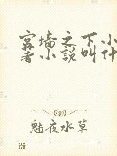 宫墙之下小说原著小说叫什么名字