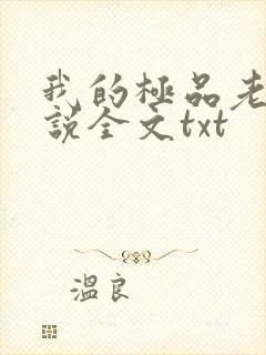 我的极品老婆小说全文txt