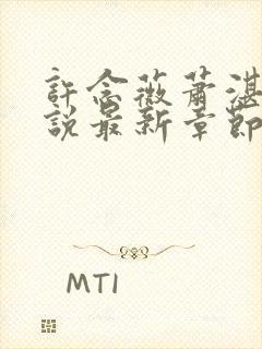 许念薇萧湛明小说最新章节免费阅读封面