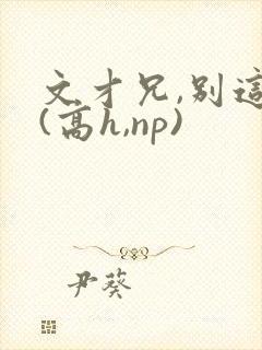 文才兄,别这样(高h,np)