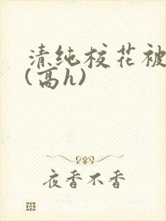 清纯校花被调教(高h)